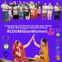 Moong Dal Dhuli, Unpolished Desi Dal - 500g