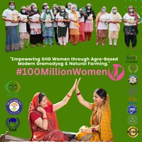 Wheat Dalia Bhuna (Broken Wheat Roasted) - 500g