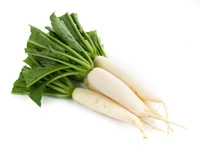 Radish