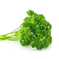 Parsley Herb