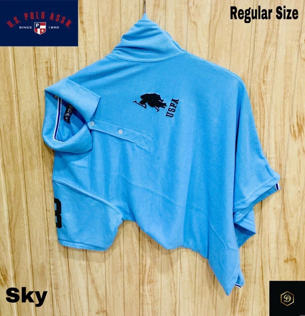 Cotton Solid Half Sleeves USPA Polo T-Shirt For Men-Skyblue - L