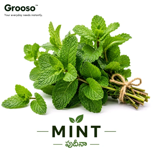 Mint - Pudhina - 1 Pcs