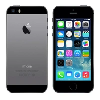 iPhone 5s 3 Month under seller warranty - 16 GB, Space Gray