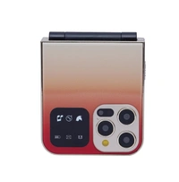 Snexian Rock Flip 2.4 inch Display Dual Sim - Gold