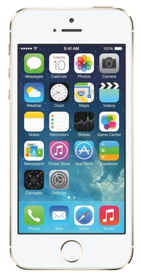 iPhone 5s 3 Month under seller warranty - 16 GB, Space Gray