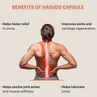 Healthally Hadjod Capsule for Joint Pain | Bones & Joint Strength Capsule (60 Cap) - FREE