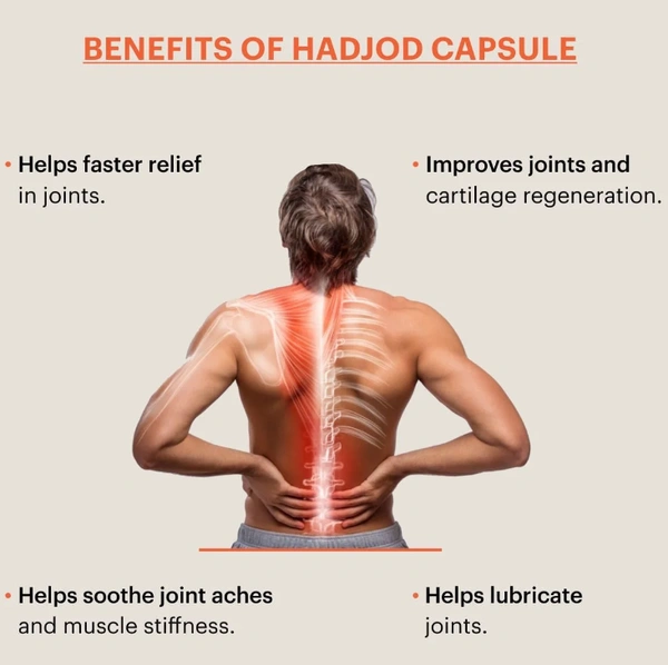 Healthally Hadjod Capsule for Joint Pain | Bones & Joint Strength Capsule (60 Cap) - FREE