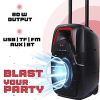 ZOOOK THUNDERSTORM 80-Watt Bluetooth Party Speaker - Black