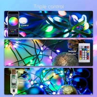 Neo Clean Smart Fairy Lights 10M, 100 LED RGB String Lights with USB & Bluetooth, App & Remote Control – Plug-in Decorative Lights for Diwali, Christmas, Outdoor & Indoor Use