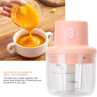 Neo Clean Electric Mini Garlic Chopper 250ML - USB Rechargeable Portable Food Chopper for Fruits, Vegetables, Onion & Garlic - Mini Kitchen Slicer