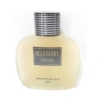 SAV BLUEBERRY London Apparel Perfume Spray-100ml - PJM068R13S2