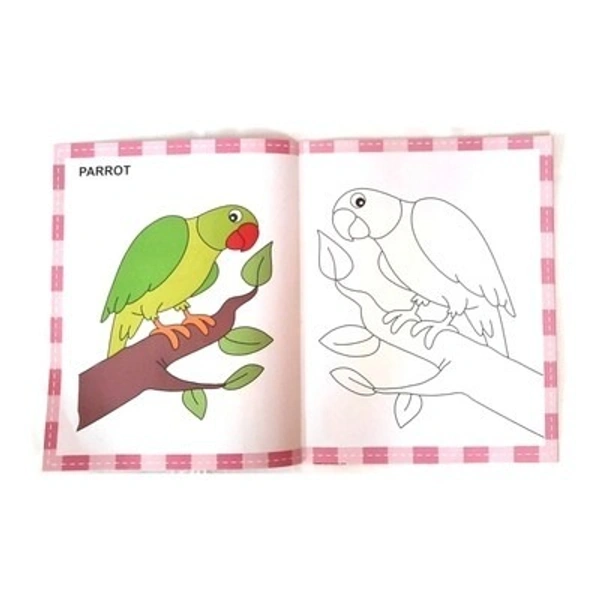 A Book Of Copy Colouring (Birds &Vehicles)- Set Of 2 Books. - A121NAR26S4