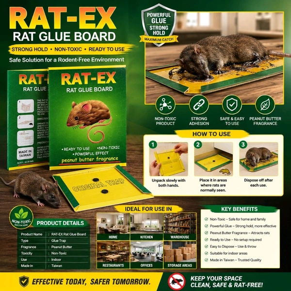 RAT-EX Rat Glue Board Trap | Non-Toxic Peanut Butter Fragrance Adhesive Glue Trap for Rats & Mice | Ready-to-Use Strong Sticky Rodent Catcher for Home, Kitchen, Office & Warehouse (Pack of 1)
