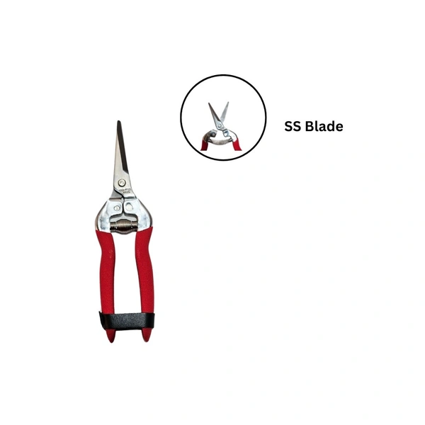 SUNYA 7 1/2" Stainless Fruit Snips-33003Z-1