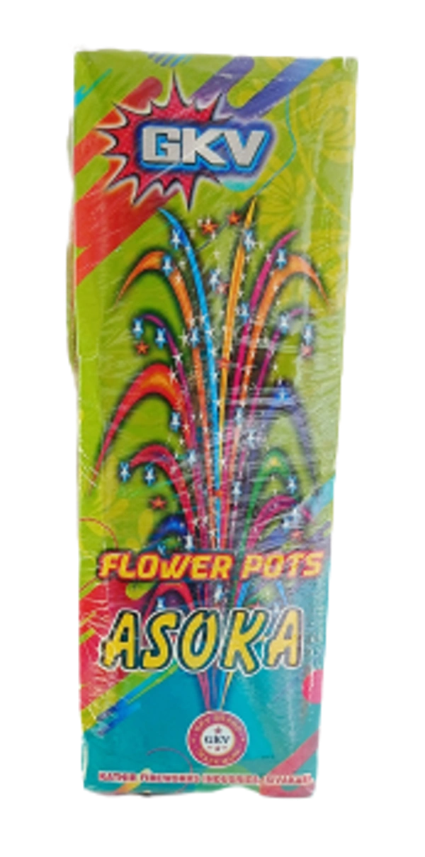 Flower Pots Asoka - பூந்தொட்டி அசோகா (10 pcs)