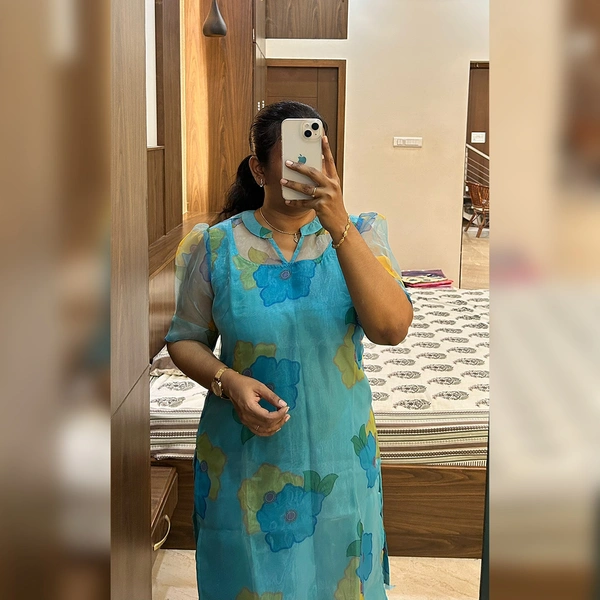 Sky blue Organza ( With Lining)