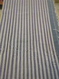 Pure Handloom Narayanapet Cotton - Silver 4