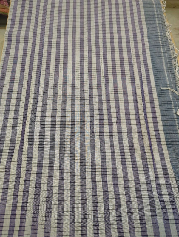 Pure Handloom Narayanapet Cotton - Silver 4