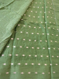 Pure Chinnon Embroidery  - green