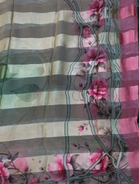 Pure Chiffon  - Mint Green