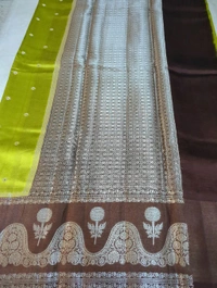 Pure Raw Mango  - green