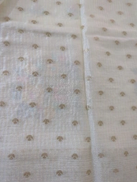 Pure Chinnon Designer With Embroidery  - White