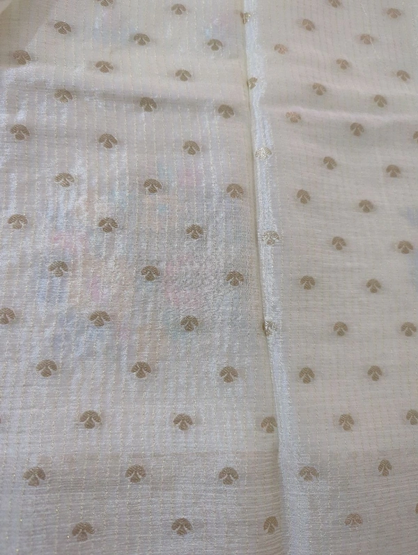Pure Chinnon Designer With Embroidery  - White