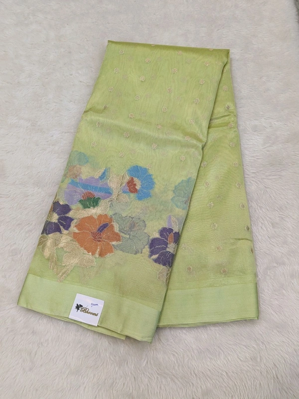 Fancy Organza Jamdhani - green