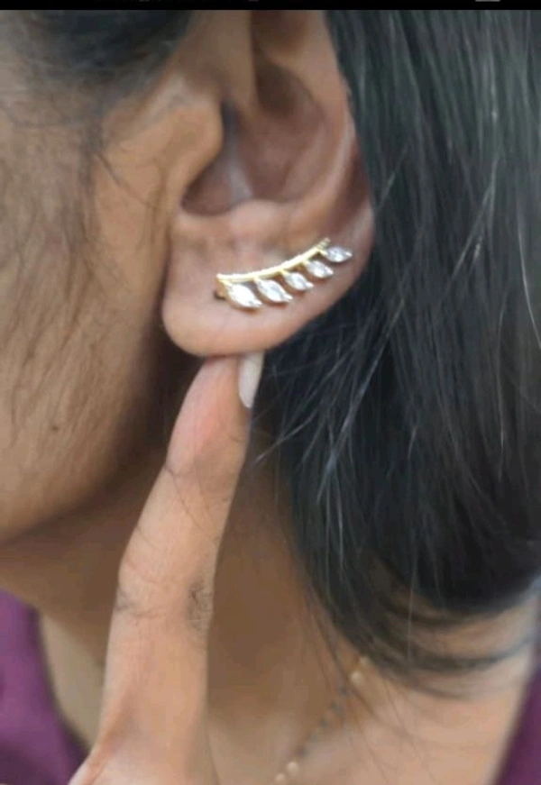 Ear Hoops