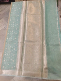 kota fancy - Pelorous