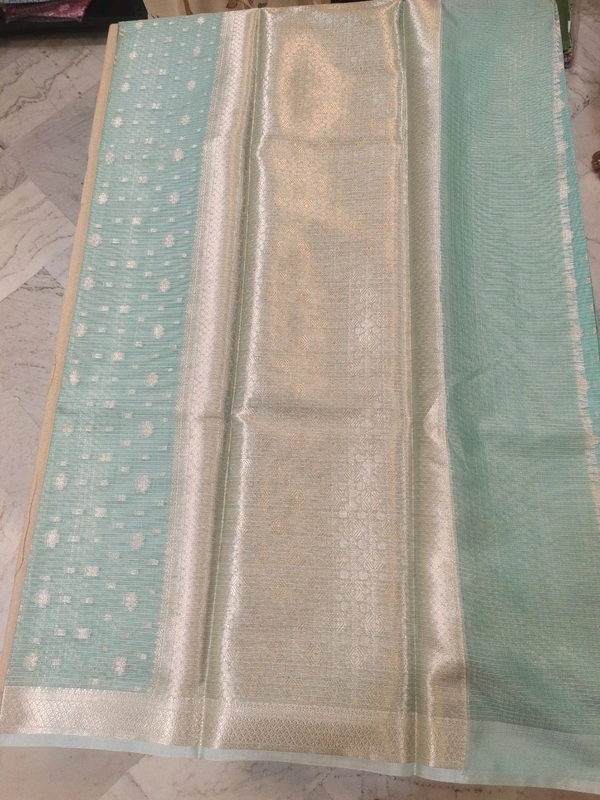 kota fancy - Pelorous