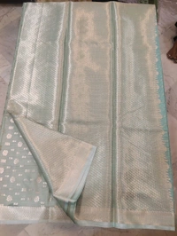 kota fancy - Pelorous