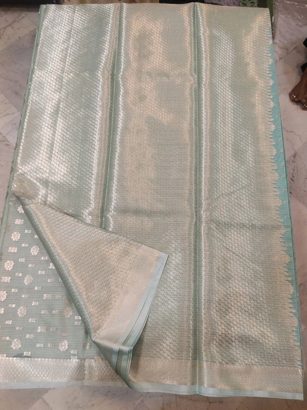 kota fancy - Pelorous