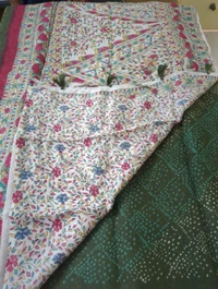 soft chanderi - green