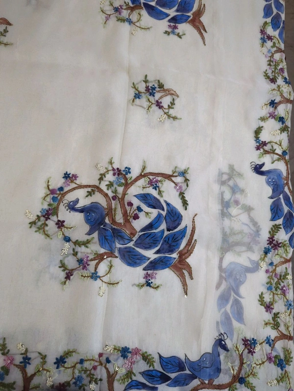 Organza With Handwork - White