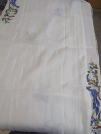 Organza With Handwork - White