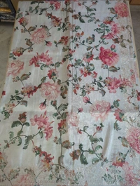 Tissue Georgette With Pita Work - cream