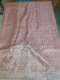 Tissue Georgette With Pita Work - cream