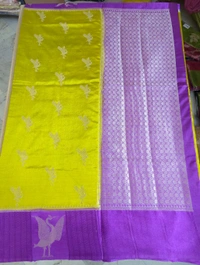 Raw Mango - Gold, Swans