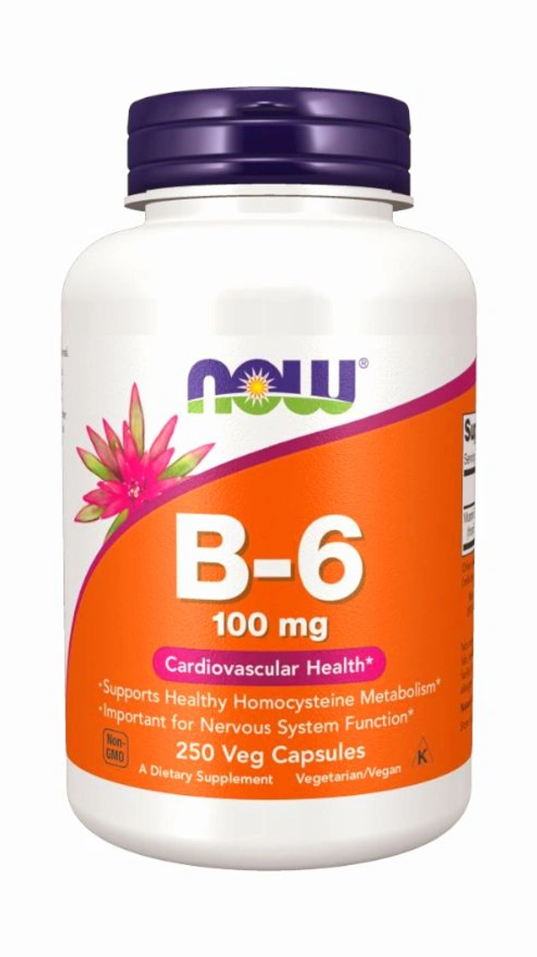 Now Vitamin B-6 100 mg - 250 Veg Capsules