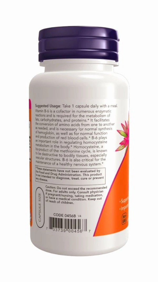 Now Vitamin B-6 100 mg - 250 Veg Capsules