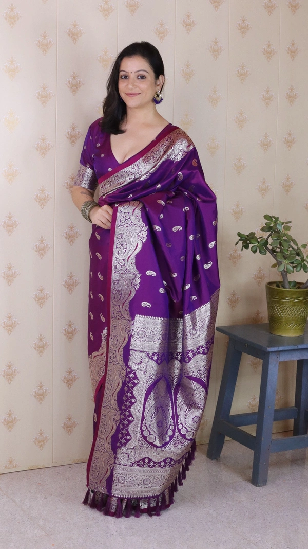 Banarasi Soft Silk Saree with Silver Zari Jaal Weaves