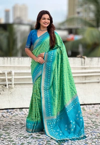Premium Patola Silk Saree with Meenakari Ikkat Weaves & Bandhani Pallu - FREE, PISTA