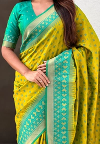 Premium Patola Silk Saree with Meenakari Ikkat Weaves & Bandhani Pallu - FREE, MEHENDI