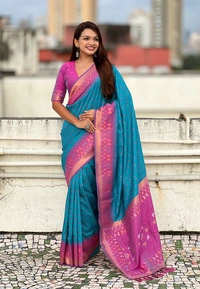 Premium Patola Silk Saree with Meenakari Ikkat Weaves & Bandhani Pallu - FREE, SKY