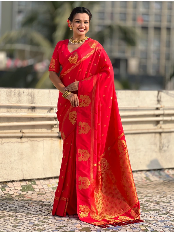 Soft Silk Saree with Elephant Border and Diamond Geometric Zari Woven Pallu