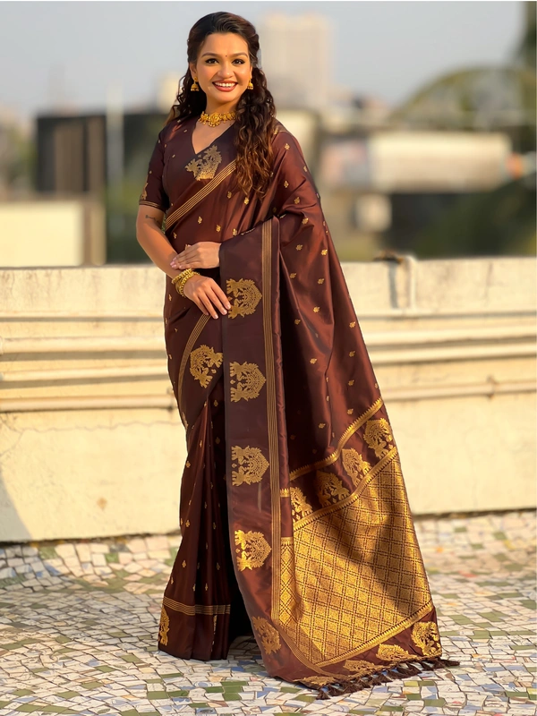 Soft Silk Saree with Elephant Border and Diamond Geometric Zari Woven Pallu