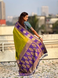 Soft Silk Saree with Peacock Zari Motifs and Contrast Peacock Panel Border - FREE, MEHENDI
