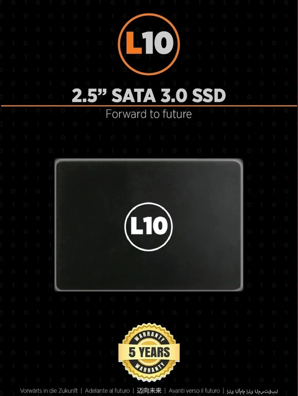 SKU-0115/ SSD- SATA- 256GB- L10 256 256GB 2.5 SSD(Solid State Drive) 5 YEARS WARRENTY