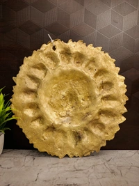 DecorsOne Brass Sun Face Wall Mount 11.5"
